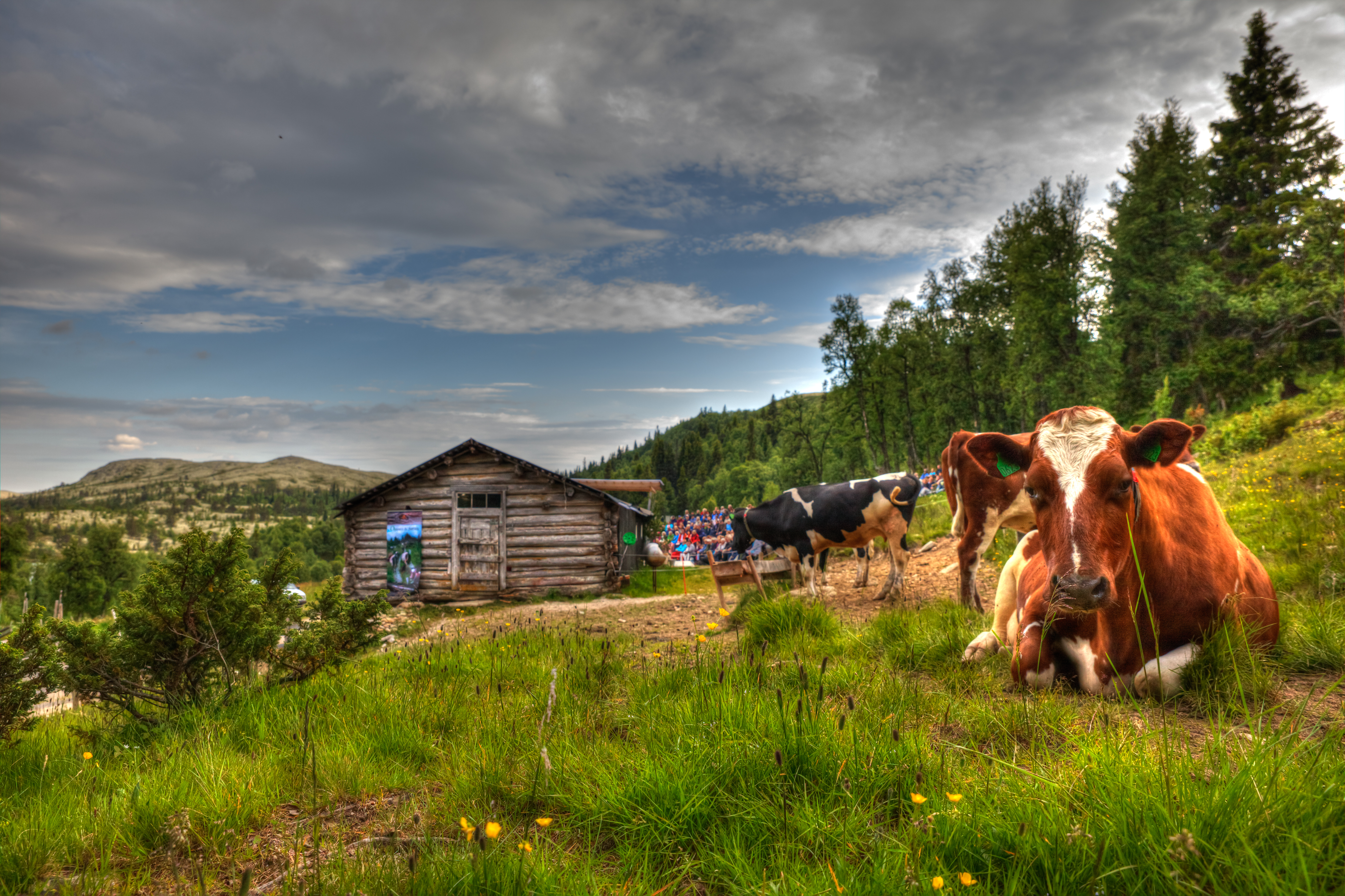IMG_3116_tonemapped
